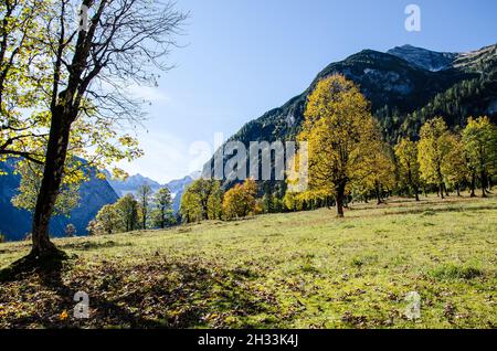 L'altopiano degli Hinterriss e dell'Eng è una caratteristica panoramica speciale con l'Ahornboden, la più grande area di alberi di acero in tutte le Alpi Foto Stock