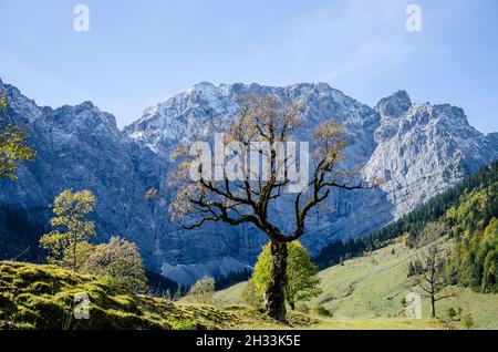 L'altopiano degli Hinterriss e dell'Eng è una caratteristica panoramica speciale con l'Ahornboden, la più grande area di alberi di acero in tutte le Alpi Foto Stock