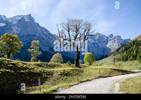 L'altopiano degli Hinterriss e dell'Eng è una caratteristica panoramica speciale con l'Ahornboden, la più grande area di alberi di acero in tutte le Alpi Foto Stock