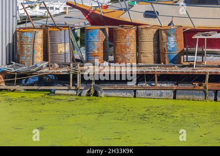 Arrugginite barili di petrolio a Green River Pontoon inquinamento Foto Stock