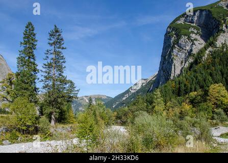 L'altopiano degli Hinterriss e dell'Eng è una caratteristica panoramica speciale con l'Ahornboden, la più grande area di alberi di acero in tutte le Alpi Foto Stock