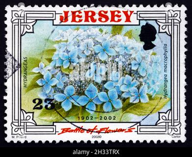 JERSEY - CIRCA 2002: Un francobollo stampato nel Jersey mostra hydrangea (hortensia), pianta di fioritura, circa 2002 Foto Stock