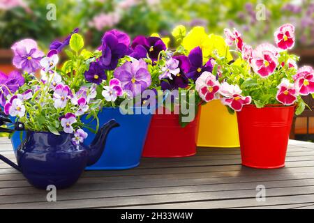 Fiori in Un Vaso Su Una Sedia Di Vimini Fotografia Stock - Immagine di  colorato, regalo: 121158746