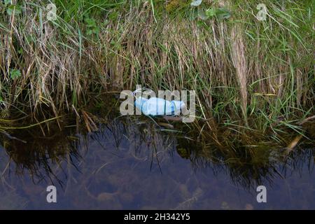 Spoltranza maschera di faccia gettata galleggiante in un fosso Foto Stock