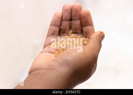 Primo piano immagine di Lady Holding Kerala Matta Rice in mano. Messa a fuoco selettiva Foto Stock