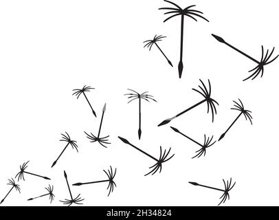 Semi di dente di leone nell'illustrazione del vettore del vento Illustrazione Vettoriale