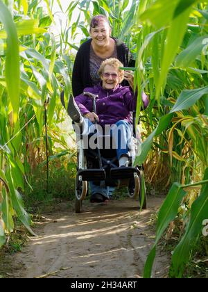Figlia di mezza età che spinge la vecchia madre invecchiata intorno ad un labirinto di mais, avendo un sacco di divertimento, Regno Unito Foto Stock