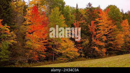 WARREN, VERMONT, USA - fogliame autunnale, colore autunnale a Mad River Valley, Green Mountains. Foto Stock