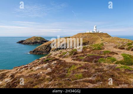 Faro di Strumble Head, eretto nel 1908 e si trova a sud di Fishgaurd Harbour a Pembrokeshire, Galles. Foto Stock