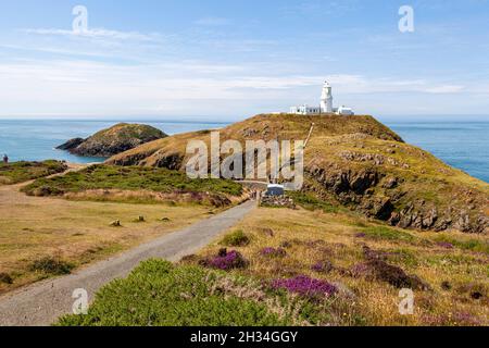 Faro di Strumble Head, eretto nel 1908 e si trova a sud di Fishgaurd Harbour a Pembrokeshire, Galles. Foto Stock