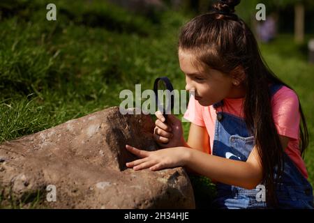 i capretti piccoli osservano hedgehog usando la lente di ingrandimento Foto Stock