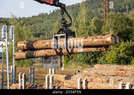 Una gru con ganasce carica tronchi di albero nei carri Foto Stock