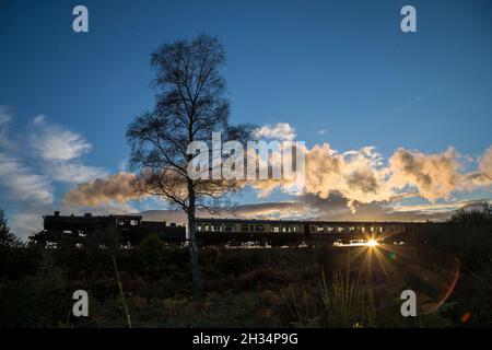 Bewdley, Regno Unito. 25 Ottobre 2021. Meteo Regno Unito: L'ultimo treno del giorno della Severn Valley Railway offre ai passeggeri a bordo una spettacolare vista al tramonto mentre si stende a vapore, tornando a casa nel sole autunnale del tardo pomeriggio. Credit: Lee Hudson/Alamy Live News Foto Stock