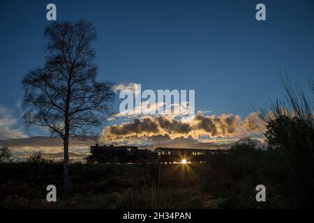 Bewdley, Regno Unito. 25 Ottobre 2021. Meteo Regno Unito: L'ultimo treno del giorno della Severn Valley Railway offre ai passeggeri a bordo una spettacolare vista al tramonto mentre si stende a vapore, tornando a casa nel sole autunnale del tardo pomeriggio. Credit: Lee Hudson/Alamy Live News Foto Stock