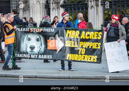 Westminster, Londra, Regno Unito. 25 ottobre 2021. Gli attivisti per i diritti degli animali e le campagne protestano oggi in Piazza del Parlamento per "liberare le aquile MBR" a MBR Acres a Wyton, Cambridgeshire, una struttura che alleva cani per la ricerca di laboratorio. Credit: Imagplotter/Alamy Live News Foto Stock