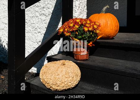 Crisantemi e zucche sulla porta d'ingresso scale di una casa Foto Stock