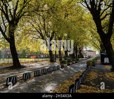 Kelvin Way, di Kelvingrove Park. Foglie d'autunno. Ottobre. Glasgow, Scozia Foto Stock