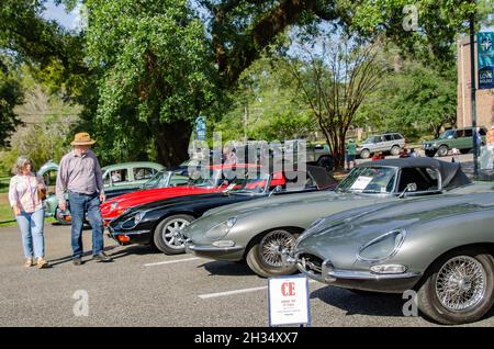 Gli appassionati di auto passano davanti a una serie di auto d'epoca Jaguar e-Type al 31 Festival annuale dell'auto britannica, il 24 ottobre 2021, a Fairhope, Alabama. Foto Stock