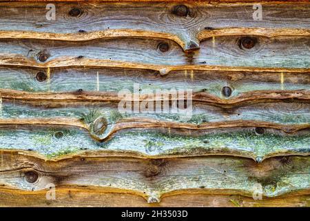 Tavole ruvide tagliate su un muro di capannone formano uno sfondo ad una segheria all'aperto a Morganton, Carolina del Nord. Foto Stock
