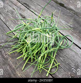 Aglio fresco verde germogli su un tavolo di legno sfondo Foto Stock