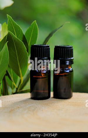 olio di foglie di laurel oil.Bay oil.Essential . Laurel essenziale OIL.Glass bottiglie marrone set e foglie di alloro su uno sfondo verde sfocato Foto Stock