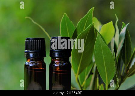 olio di foglie di laurel oil.Bay. Laurel essenziale OIL.Glass bottiglie marrone set e foglie di alloro su uno sfondo verde sfocato Foto Stock