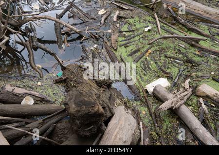 Varie materie plastiche, polistirolo e altri rifiuti che scorrono a valle nel fiume Clinton presto per trovare il suo modo di lago Saint Claire nel Michigan Stati Uniti. Foto Stock