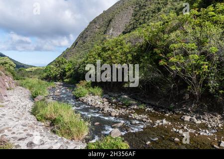 Vista panoramica sul fiume Iao, West Maui Mountains, Hawaii Foto Stock