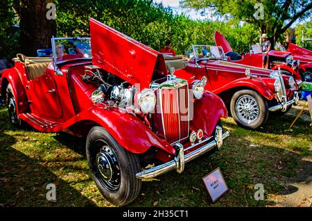 Un TD Mark II da 1952 MG è esposto con altri MGS al 31 Festival annuale dell'automobile britannica, il 24 ottobre 2021, a Fairhope, Alabama. Foto Stock