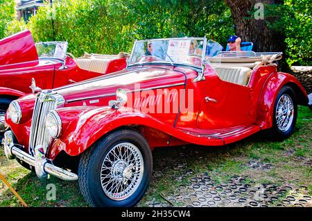 Un 1955 MG TF 1500 Midget è esposto al 31 Festival annuale British Car, 24 ottobre 2021, a Fairhope, Alabama. Foto Stock