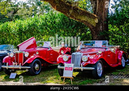 Un 1952 MG TD Mark II e un 1955 MG TF 1500 Midget sono esposti al 31 annuale British Car Festival, 24 ottobre 2021, a Fairhope, Alabama. Foto Stock