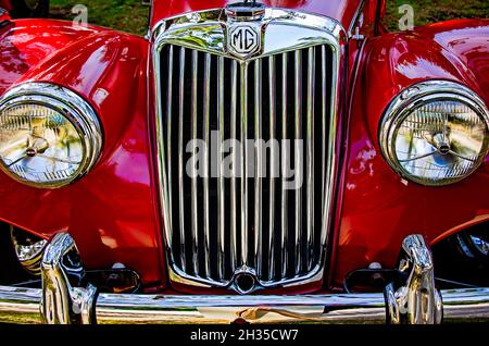 Un 1955 MG TF 1500 Midget è esposto al 31 Festival annuale British Car, 24 ottobre 2021, a Fairhope, Alabama. Foto Stock