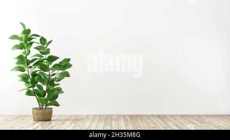 Fondo interno vuoto, stanza con parete bianca, vaso con rendering pianta 3d Foto Stock