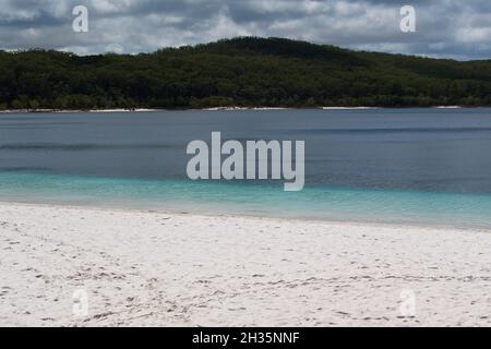 Lago Mckenzie su Fraser Island Foto Stock