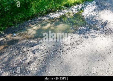 C'è una pozzanghera sulla strada sterrata che attraversa la foresta vicino al villaggio di Wilga in Polonia. Foto Stock