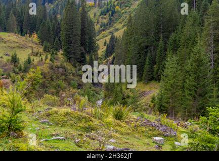 Paesaggio naturale nei pressi di Warth, un comune del distretto di Bregenz nello stato federato del Vorarlberg Foto Stock