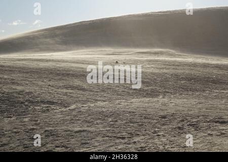 Tempesta di sabbia nelle dune di Rubjerg Knude in una giornata di sole, Jammerbugt, Lonstrup, Hjorring, Jutland settentrionale, Danimarca Foto Stock