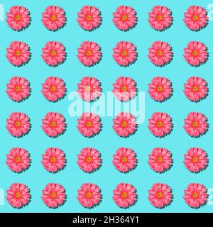 Ritmo senza cuciture con delicati fiori di gerbera rosa su sfondo blu pastello. Sfondo floreale natalizio per matrimoni, Femminile, San Valentino o. Foto Stock