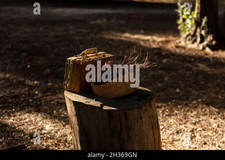 Valigia e cesto di legno sulla parte superiore del tronco nella foresta. Immagine raffigurante un pic-nic. Foto Stock