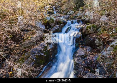 Rapide di Madriu primavera in Madriu-Perafita-Claror Valley, Andorra Foto Stock