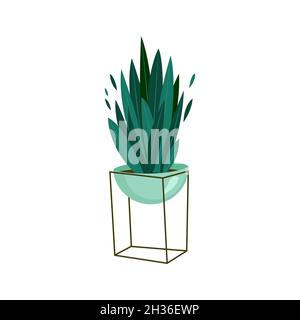 Sansevieria casalinga in una pentola. Illustrazione vettoriale in stile piatto Illustrazione Vettoriale