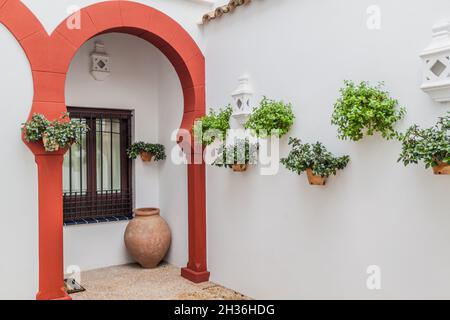 Particolare di un cortile tradizionale a Cordoba, Spagna Foto Stock