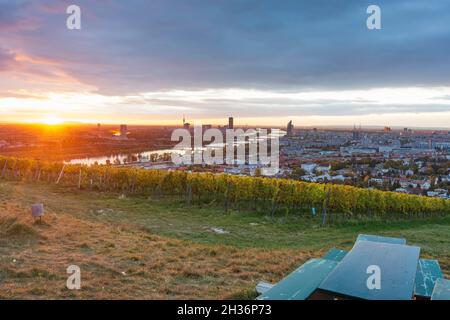 Wien, Vienna: alba a Vienna, fiume Donau (Danubio), vigneto, Donauturm (Torre del Danubio), DC Tower 1, Torre del Millennio nel 00. Panoramica, Vienna, Austria Foto Stock
