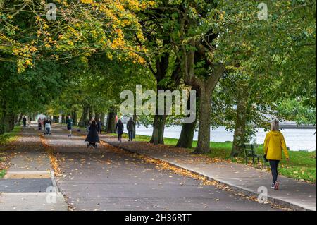 Cork, Irlanda. 26 ottobre 2021. La gente cammina lungo la Marina pedonale di Cork sotto un baldacchino d'oro di foglie in una giornata calda ma ventilata. Credit: AG News/Alamy Live News Foto Stock