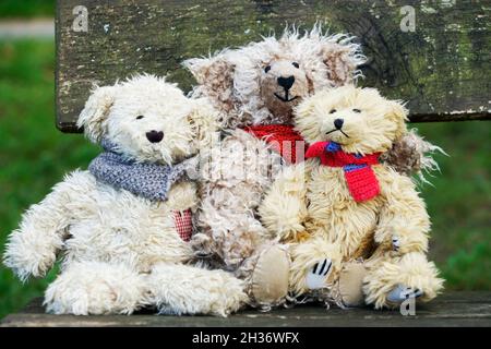 Teddy porta amici coccolati portati in vita Foto Stock