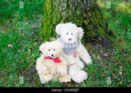 Teddy porta amici coccolati portati in vita Foto Stock