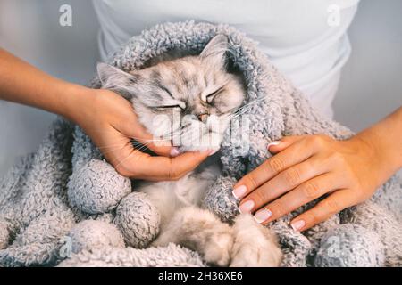 Donna accarezzante gatto carino in calda morbida coperta. Gatto dolce che si napping in braccia di donna. Concetto di amore per gli animali domestici e gli uomini Foto Stock