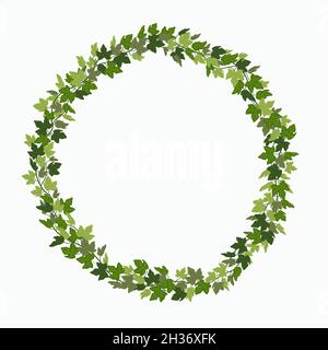 Corona Ivy, telaio verde del superriduttore isolato su sfondo bianco. Illustrazione vettoriale in stile cartoon piatto. Illustrazione Vettoriale