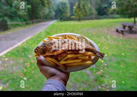 Pesce pisztrang fritto e fritto cibo tradizionale nella valle di Szalajka Ungheria Foto Stock