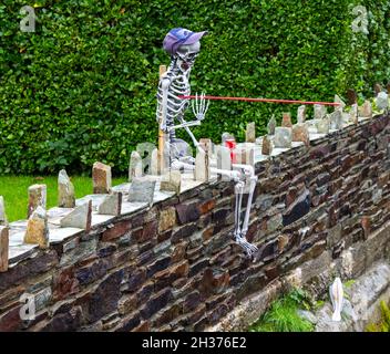 Halloween Scarecrows a Leap Village, West Cork, Irlanda Foto Stock